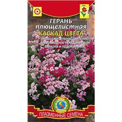 Герань плющелистная Каскад цвета (Код: 75852)