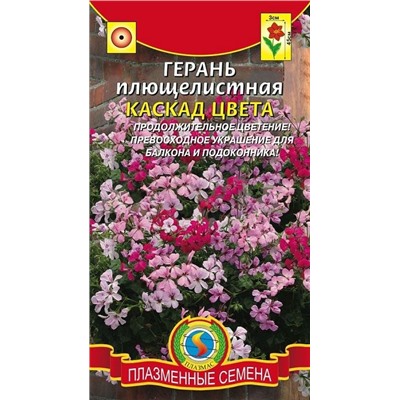 Герань плющелистная Каскад цвета (Код: 75852)