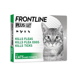 Frontline Plus für Katzen