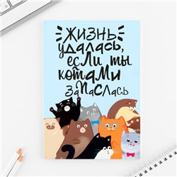 Ежедневник А5, 80 л. Тонкая обложка «Много котов»