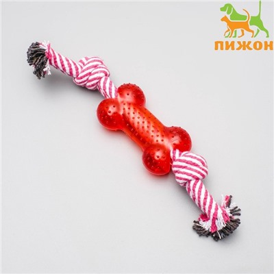 Игрушка канатная с косточкой, до 90 г, до 26 см, микс цветов