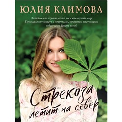 Стрекоза летит на север. Климова Ю.В.