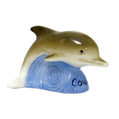 Дельфин средний, СЦ