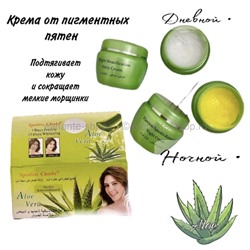 Набор отбеливающих кремов день+ночь Spotless Checks Aloe Vera, 2х20 гр