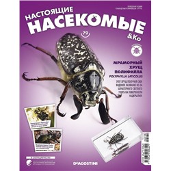Журнал №79 "Настоящие насекомые" С ВЛОЖЕНИЕМ! Мраморный хрущ полифилла