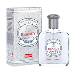 М DP туал/вода (100мл) Brandy Silver VS (Бренди Сильвер ВС). 24