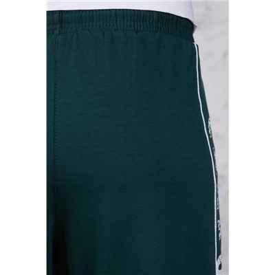 брюки спортивные 
            3.MM123A-зелёный