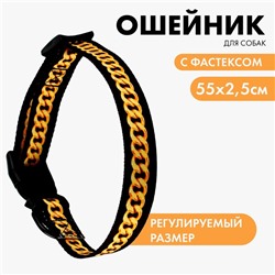 Ошейник BOSS, застёжка - фастекс, 2.5 см, 40-55 см