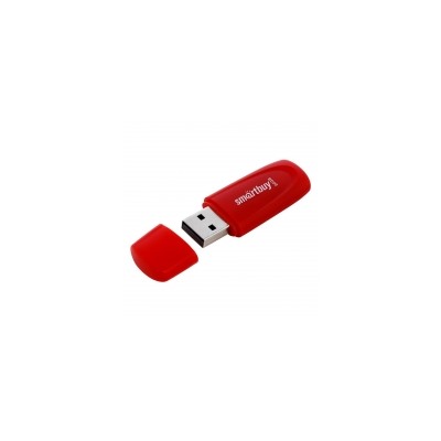 64Gb Smartbuy Scout Red USB2.0 (SB064GB2SCR)