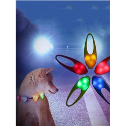 1 Stück Haustierkragen mit Zufällige Farbe Im Dunkeln leuchtend für Katze und Hund für Outdoor