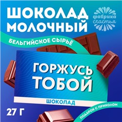 Шоколад молочный «Горжусь», 27 г.