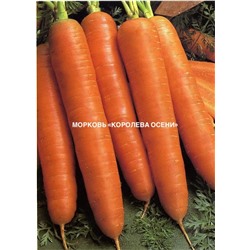 Морковь "Королева осени"1,5 гр