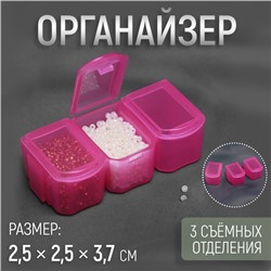 Органайзер для хранения мелочей, 3 съёмных отделения, 2,5 × 2,5 × 3,7 см, цвет МИКС