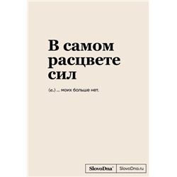 Блокнот SlovoDna. В самом расцвете сил (формат А5, 128 стр., С НОВЫМ КОНТЕНТОМ)