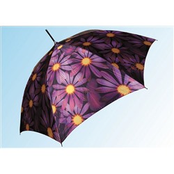Зонт ТС021 фиолетовая ромашка