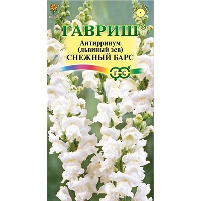 Львиный зев Снежный барс (Код: 90653)