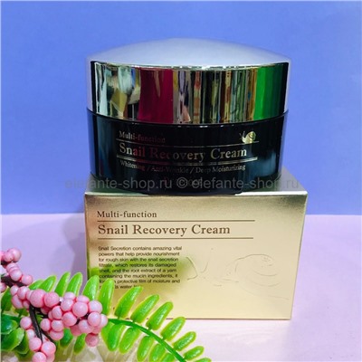 Крем для лица с муцином улитки Deoproce Snail Recovery Cream 100g (78)