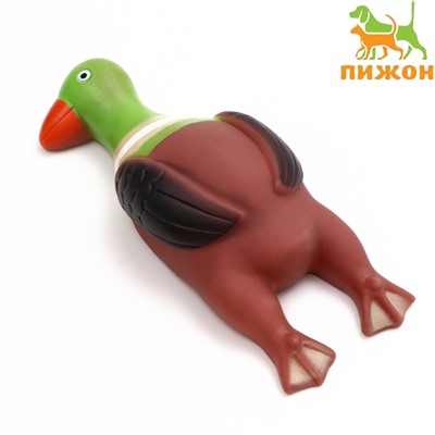 Игрушка пищащая "Скромная утка" для собак, 18 х 7 х 4 см, коричневая