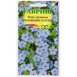 Флокс Очарование голубое (Код: 73068)