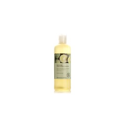 Органический антибактериальный шампунь с киффир-лаймом Bynature 320 мл / Bynature kaffir lime conditioning Shampoo 320 ml