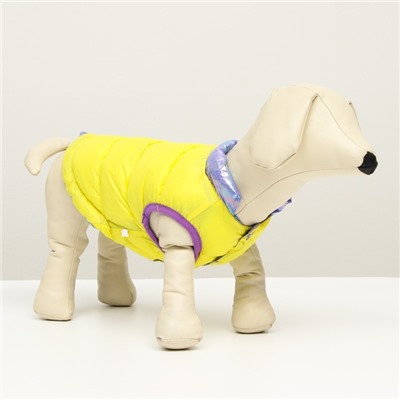 Куртка для собак двухсторонняя с утяжкой, размер 16 (ДС 36, ОГ 46, ОШ 35),фиолетовая/жёлтая
