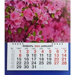 Календарь моно-эконом 2024г. Цветы Розовые цветы КМ-24409