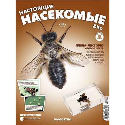 Журнал № 31 "Настоящие насекомые" (Пчела-листорез)