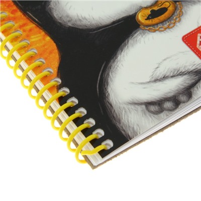 Скетчбуки для карандашных набросков А6+, 64 листа на гребне "БэтКот", обложка мелованный картон, жёсткая подложка, глянцевая ламинация, блок 60 г/м2