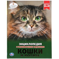 Энциклопедия А4 «Кошки и котята»