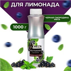 Концентрат RiCHEZA «Черная Смородина - Мята», 1000 г