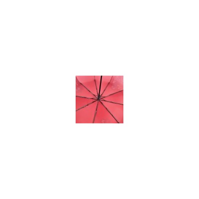 Зонт женский DINIYA арт.2298-1 (949) автомат 23(58см)Х9К водопроявляющийся бабочки