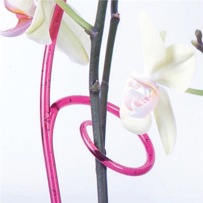 Держатель для орхидеи, h=60 см, бордо