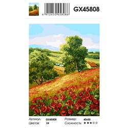 GX 45808