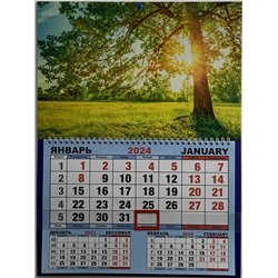 Календарь одноблочный большой 2024г. Природа Солнечное дерево КШ-24613