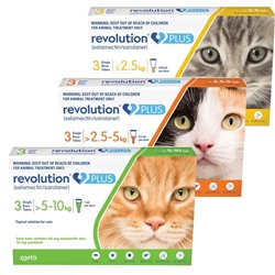Revolution PLUS für Katzen und Kätzchen