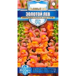 Львиный зев Золотой лев (Код: 84687)