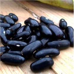 Фасоль Чероки Чёрная Кустовая — Black Bush Cherokee Bean