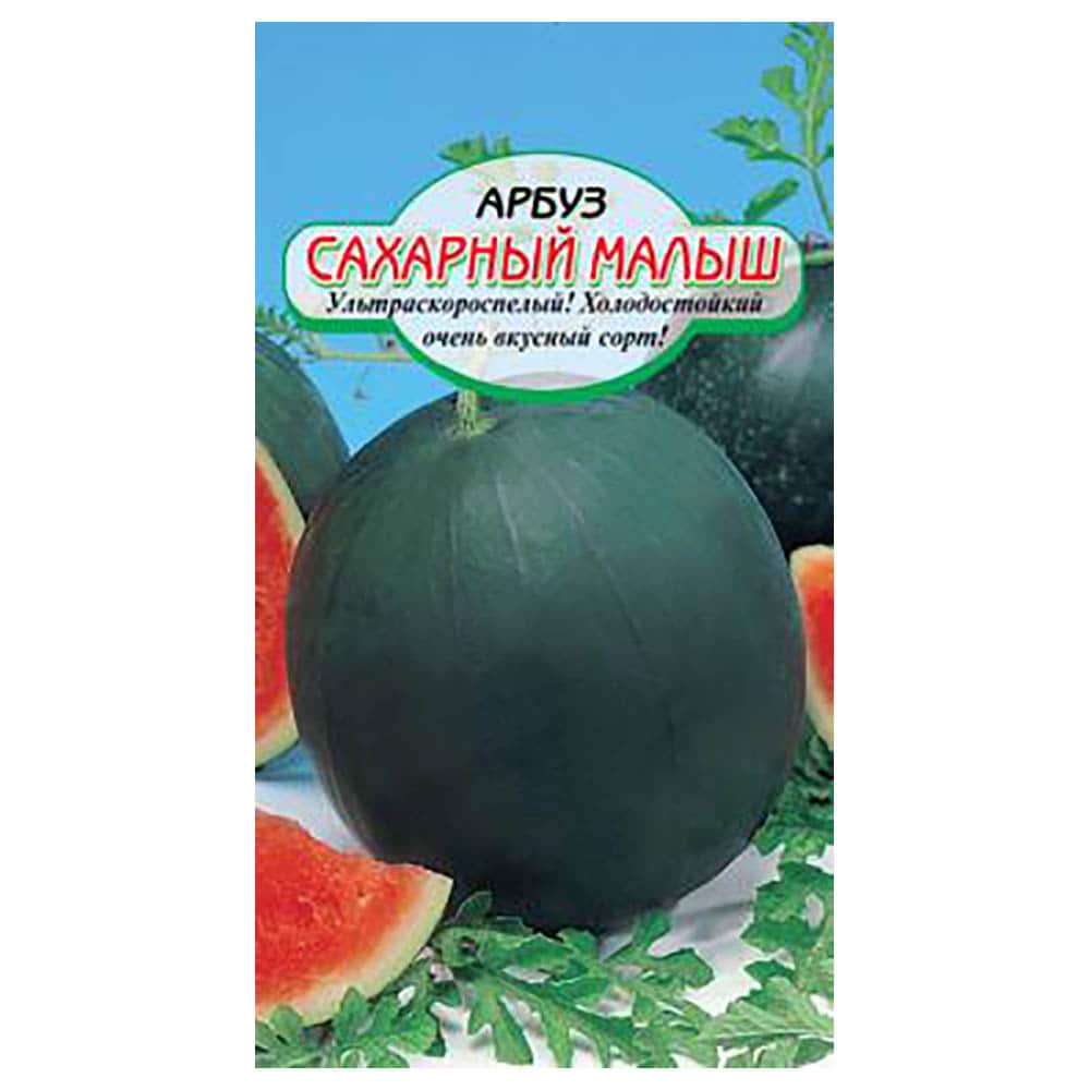 Сахарный малыш отзывы. Семена арбуза Шуга бейби сахарный малыш. Сорт арбуза сахарный малыш. Сорт арбузов сахарный малыш.