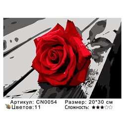 CN0054 Картины по номерам 20*30 цвет.холст