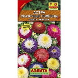 Астра Сказочные помпоны (Код: 85987)