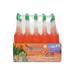 FUJIMA Японское удобрение (для кактусов и суккулентов) - оранжевое (35 мл*1 шт)