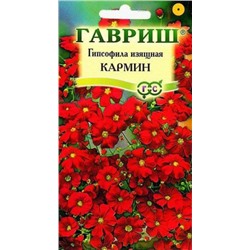 Гипсофила изящная Кармин (Код: 7881)