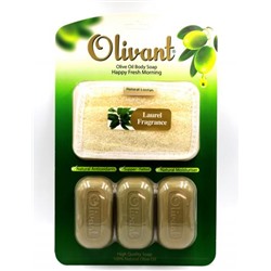 Купить Набор чистого оливкового мыла Levant с натуральной мочалкой люффой - в Москве