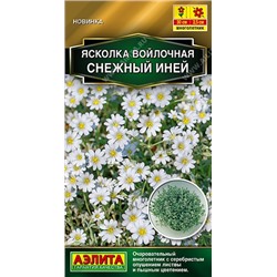 Ясколка Снежный иней (Код: 92562)