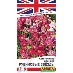 Камнеломка Рубиновые звезды (Код: 92438)