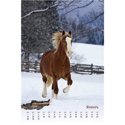 Календарь на ригеле 2024 год Horses Dreaming (Сны о лошадях) 2024 ISBN 978-5-00141-897-9