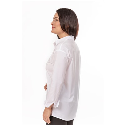 Женская блузка, артикул 5-91Д