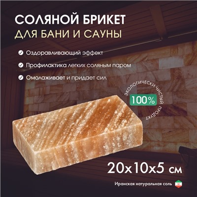 Кирпич из иранской горной соли, 20х10х5 см, цвет микс