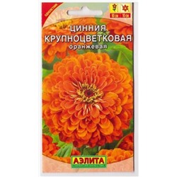 Цинния Крупноцветковая Оранжевая (Код: 69364)