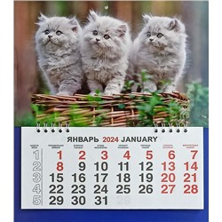 Календарь моно-эконом 2024г. Животные Три Котёнка КМ-24421